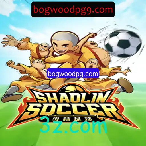 Explore o Universo Fascinante de ShaolinSoccer
